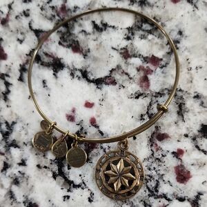Alex and Ani Compass Charm Bangle Bracelet